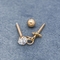 Rose Gold Ear Piercing Jewellery 316 กระดุมเจาะสแตนเลส 16G 8mm